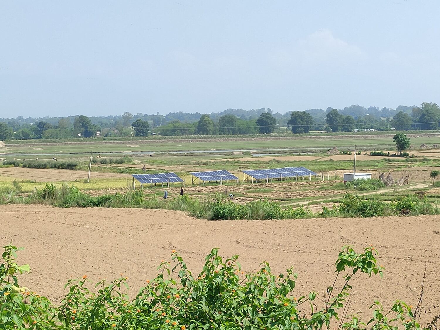 Solar Lift Irrigation Project