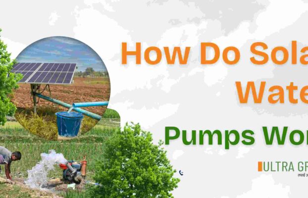 How Do Solar Water Pumps Work?